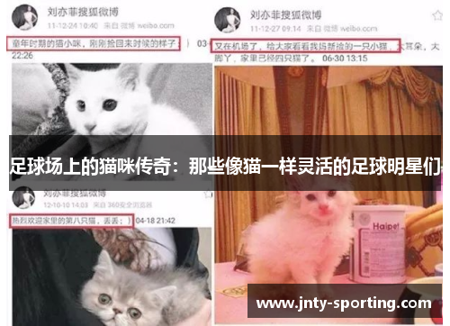足球场上的猫咪传奇：那些像猫一样灵活的足球明星们